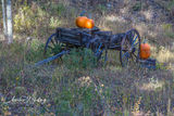 Autumn Wagon