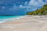 Bikini Atoll Beach Looking Northwest