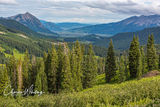 Crested Butte Valley