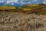 From Owl Creek Pass