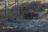 Ode to Autumn