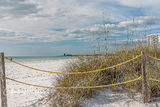 Sea Oats