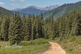 Shrine Pass Road