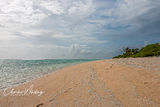 Solitary Footprints in the Sand