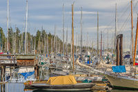 Bainbridge Island Marina (1)