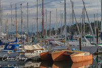 Bainbridge Island Marina (2)