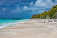 Bikini Atoll Beach Looking Northwest