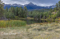Cattails, Pond, and Mount Sneffels