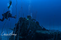 Divers Examine a Grumman F6F Hellcat