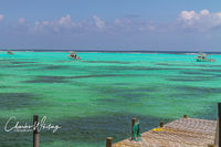Three of the Reef Divers Dive Boats