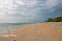 Solitary Footprints in the Sand