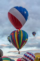 Taking Flight