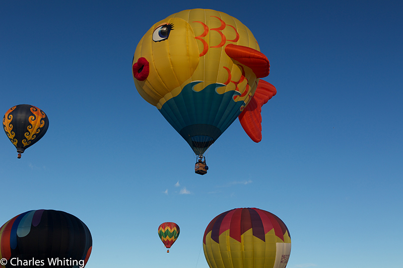 &nbsp;Albuquerque Balloon Fiesta, October 2012