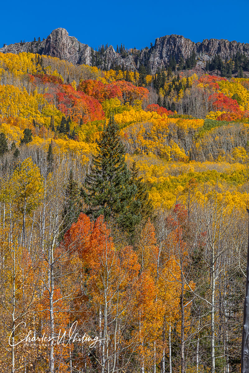 From Kebler Pass, Gunnison County, Colorado