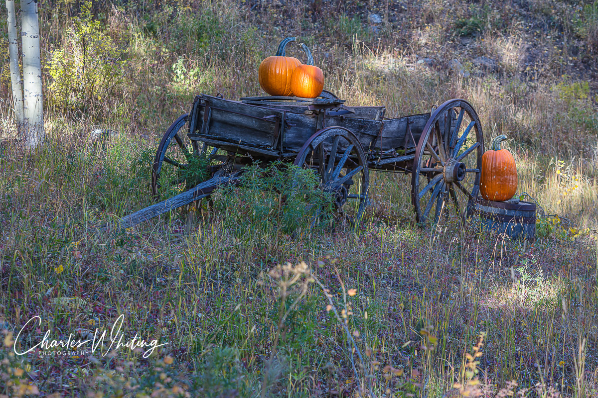 This aging wagon proudly bears the fruits of the season