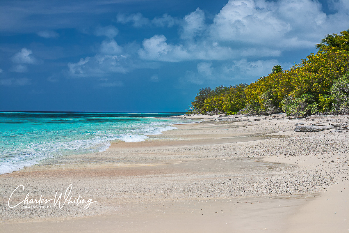 Looking at this beautiful beach on a sunny day it's hard to believe that Bikini Island was decimated by post-WWII nuclear bomb...