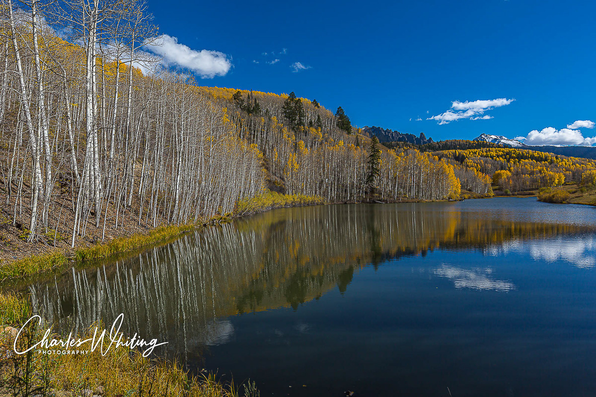 Trees and high clouds reflect off the surface of Cushman Lake near Mountain Village, Colorado
