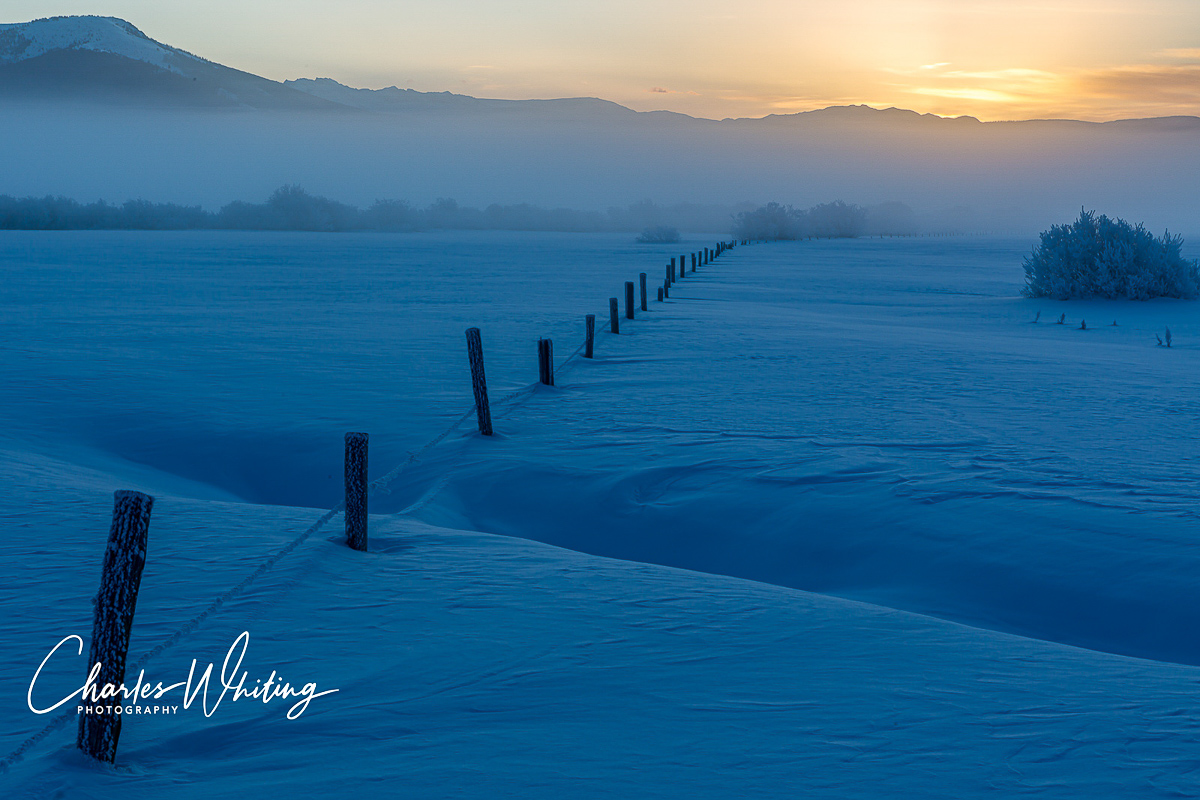 Fence posts and barbed wire covered with frost point toward the sunrise. Steamboat Springs, Colorado
