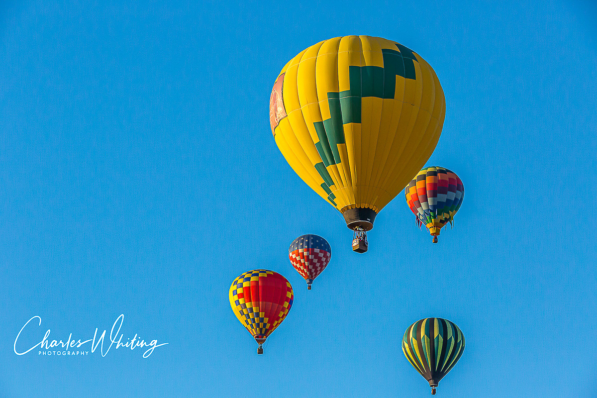 2013 Albuquerque International Balloon Fiesta