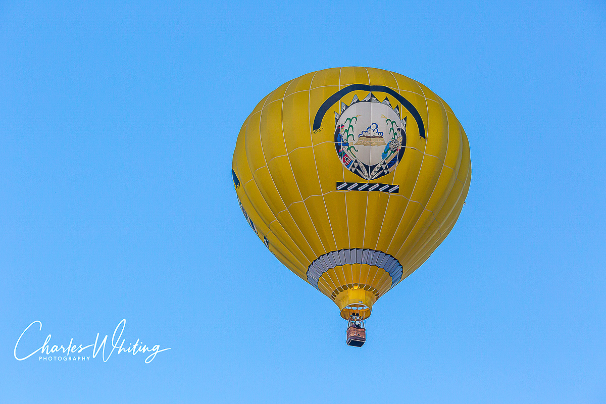 2013 Albuquerque International Balloon Fiesta