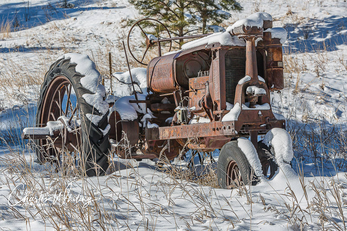 An old workhorse tractor rests in a field near my home in Evergreen, Colorado