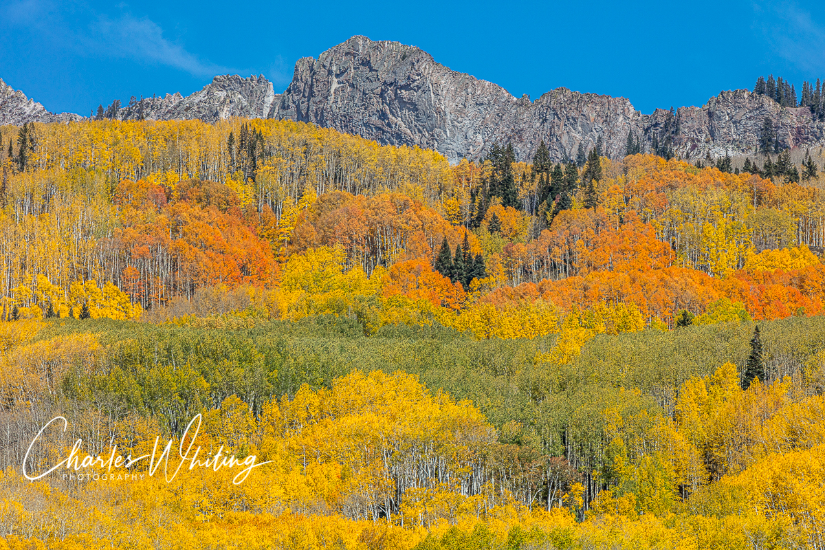 Autumn view of the Ruby Range