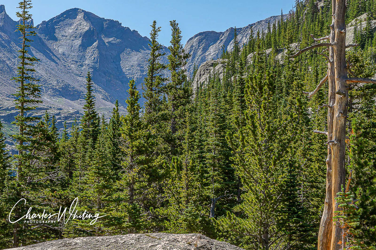 Pagoda Mountain from Mill's Lake Trail