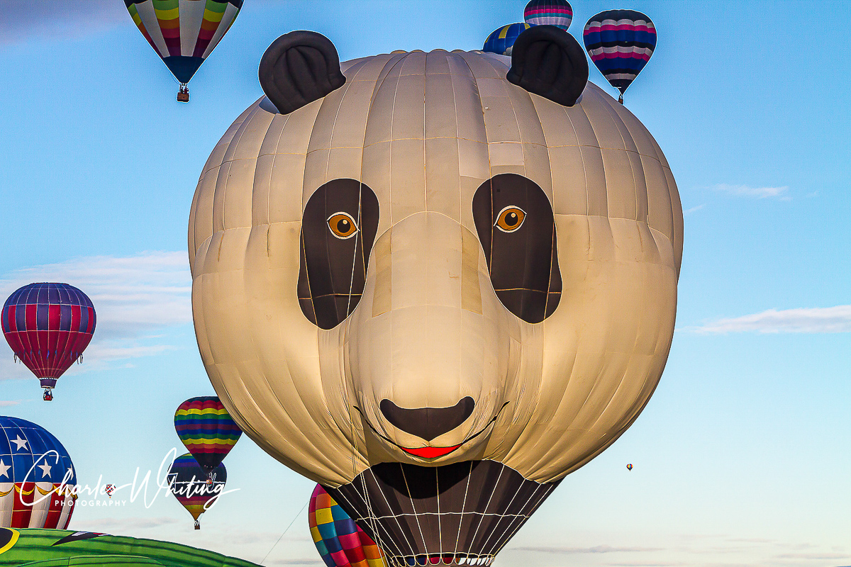 Albuquerque Balloon Fiesta, October 2012