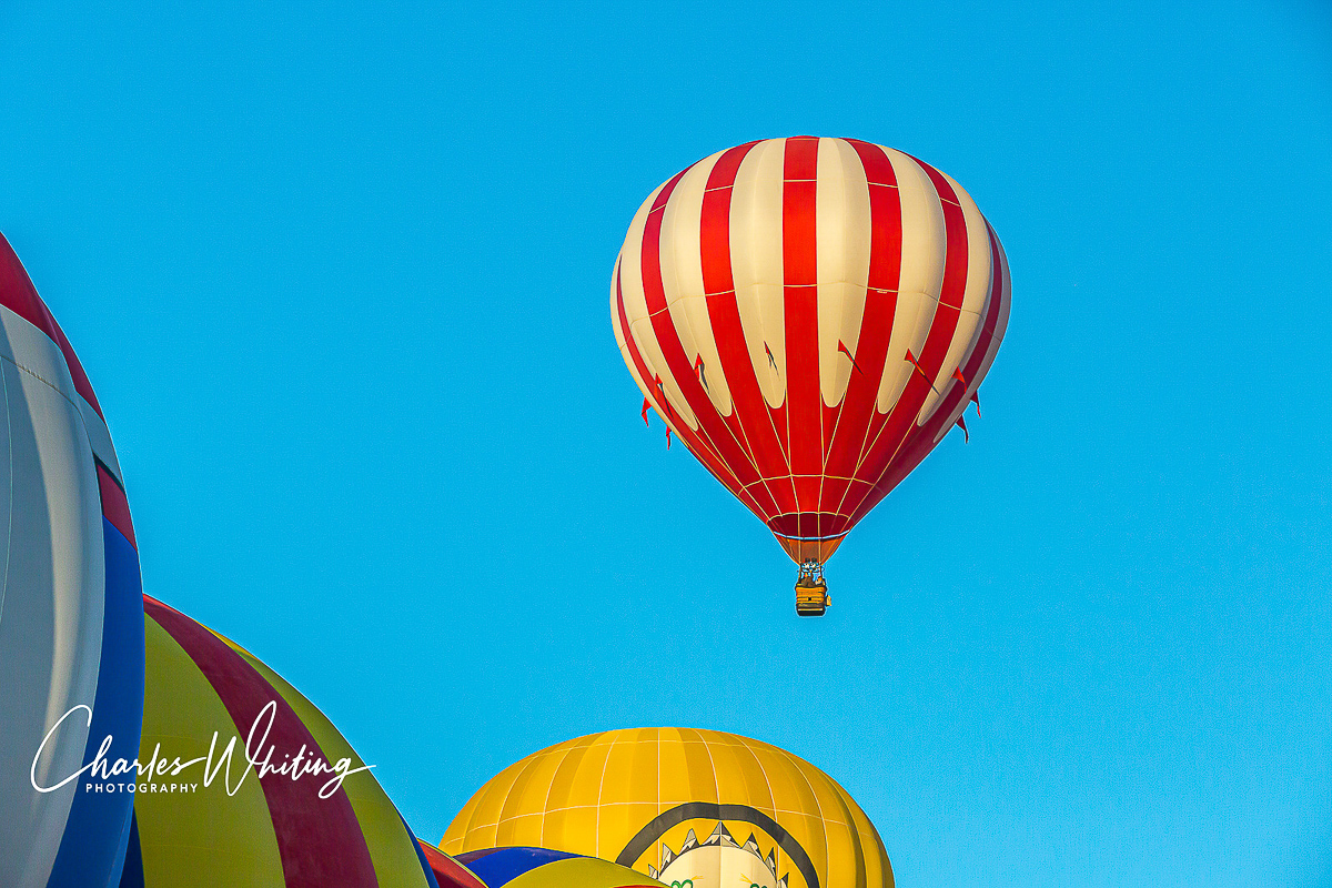 2013 Albuquerque International Balloon Fiesta