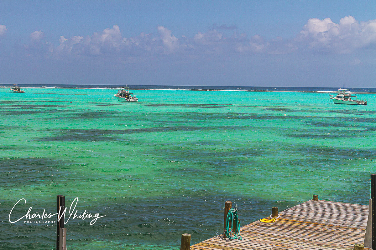 Three of the Reef Divers Dive Boats, 46' Newtons, the finest day trip dive boats available. These boats handled the 8 to 10 foot...