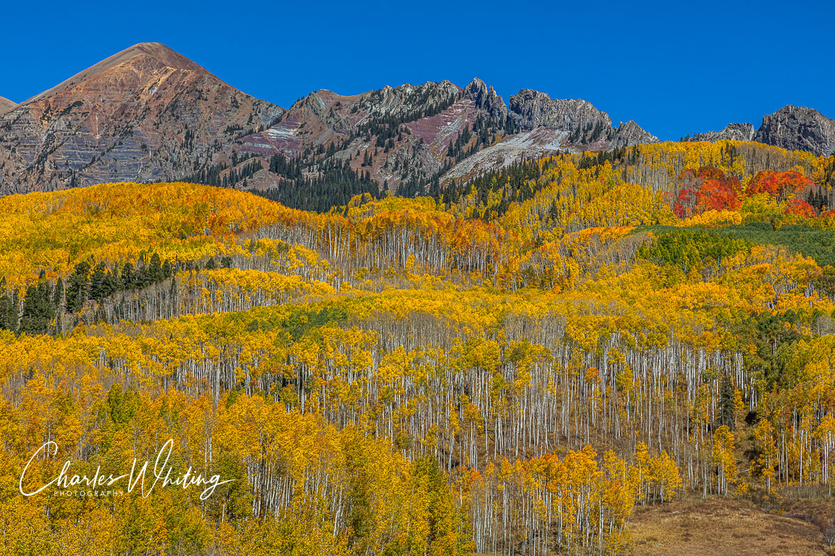 Fall splendor on&nbsp;Ruby Peak and Mount Owen, Kebler Pass, Colorado