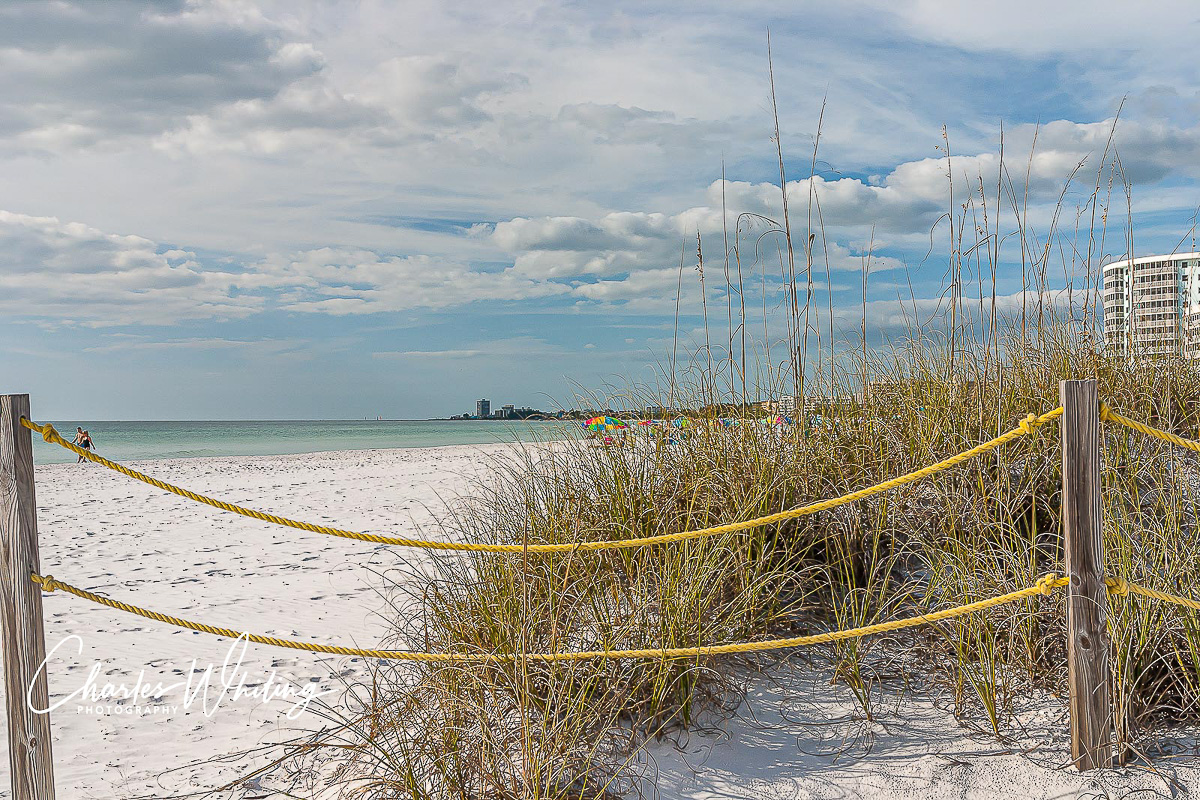 Sea Oats and the famous white powder sands of Crescent Beach at Siesta Key