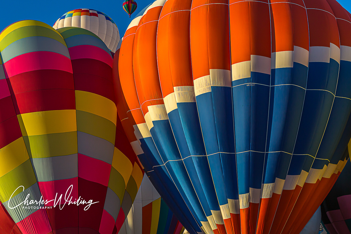 2013 Albuquerque International Balloon Fiesta