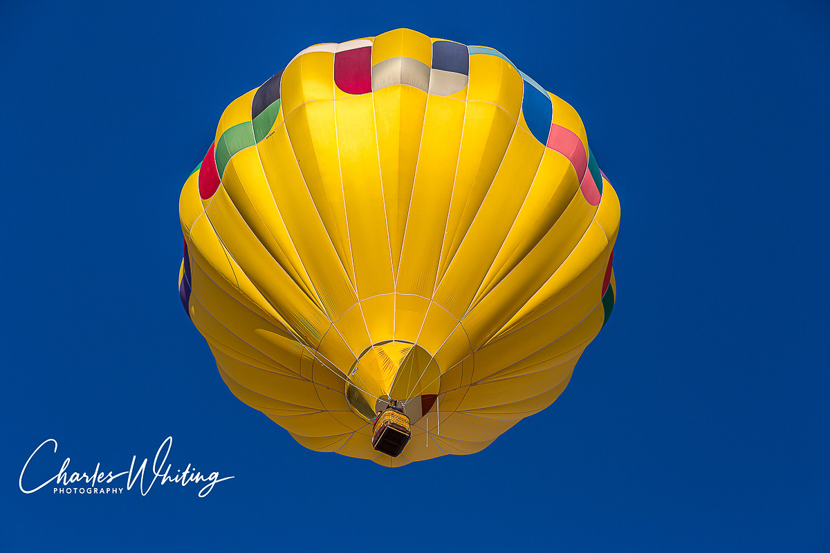 2013 Albuquerque International Balloon Fiesta