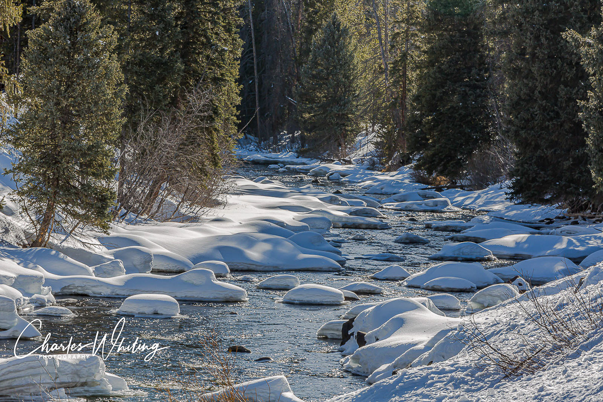 The late afternoon sunlight sparkles on a small stream flowing through snow fields and pine trees. Steamboat Springs, Colorado...