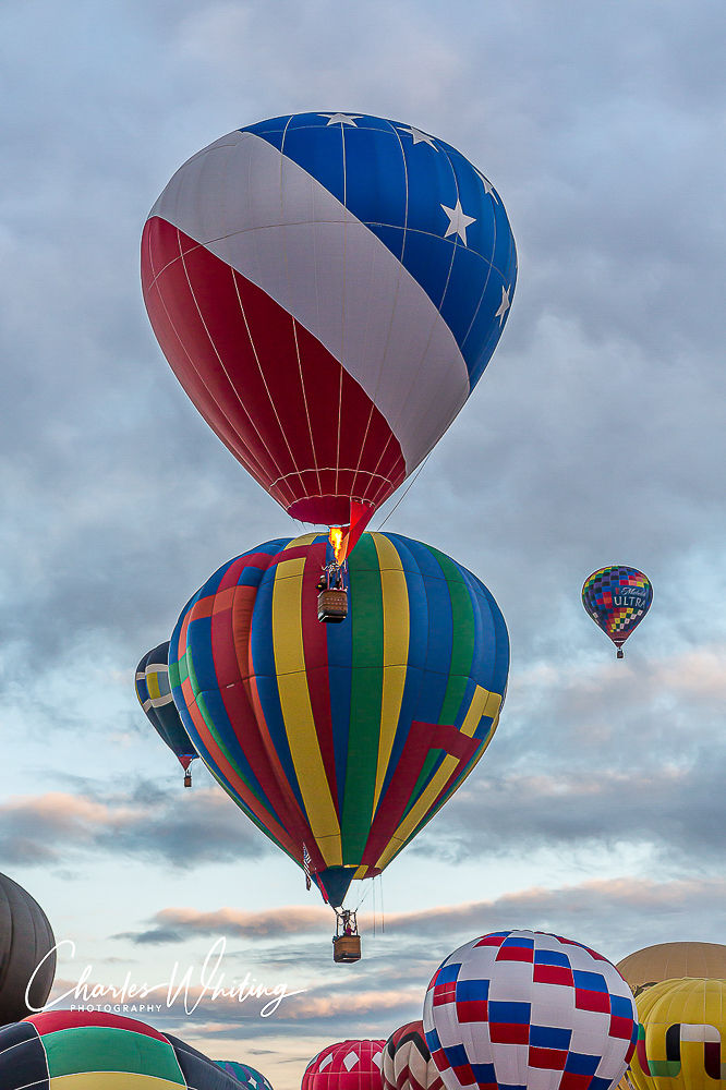 2014 Albuquerque Balloon Fiesta