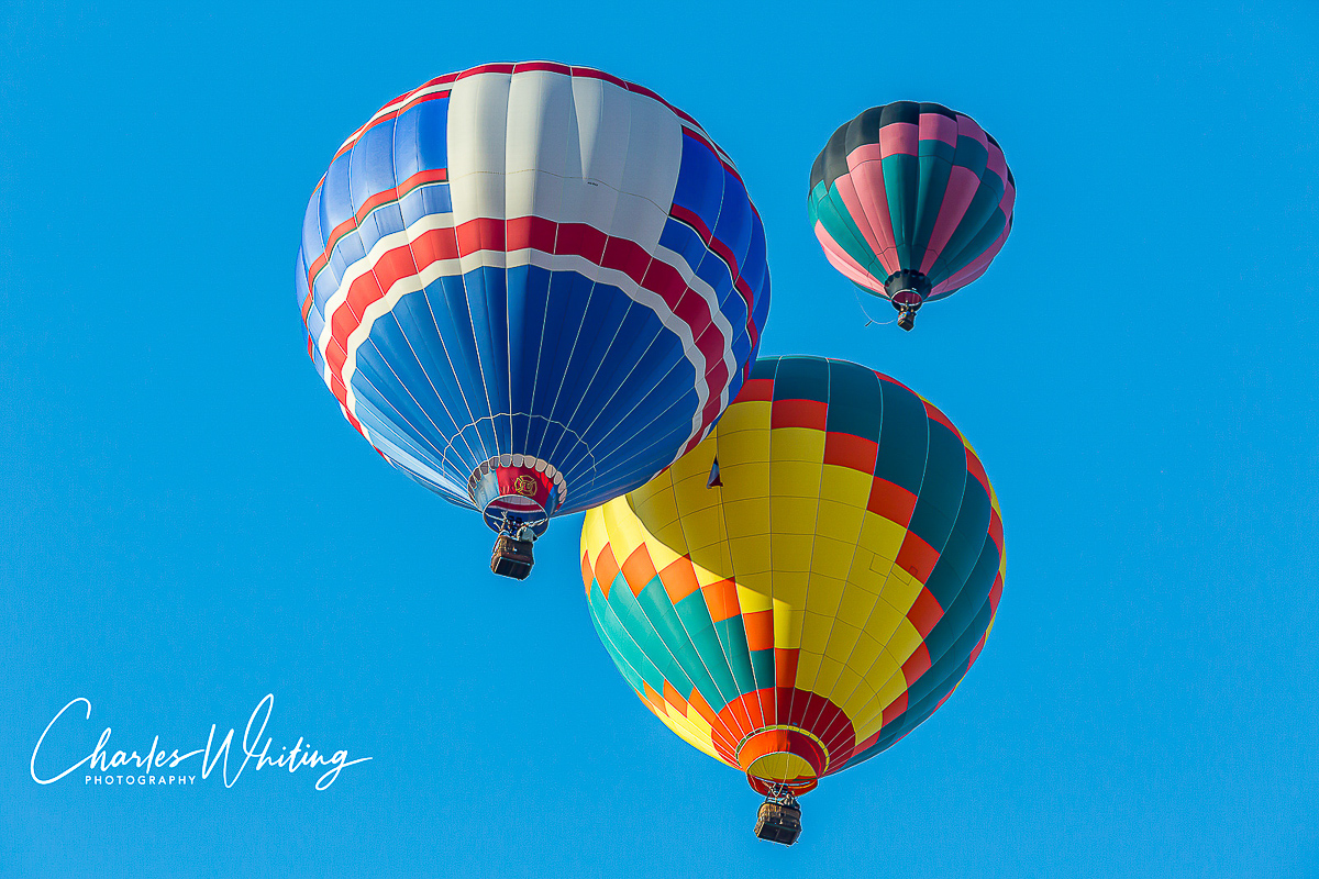 2013 Albuquerque International Balloon Fiesta